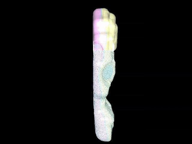Fluid - Structure Interaction